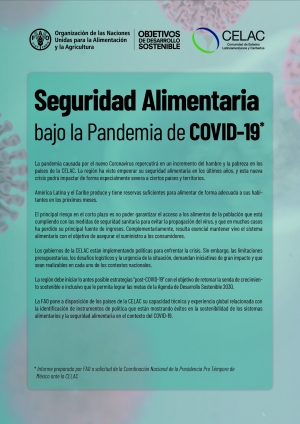 Nuevo informe de la FAO advierte del impacto del COVID-19 en la seguridad alimentaria de América Latina y el Caribe
